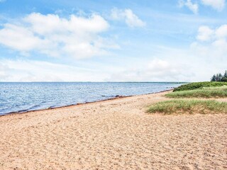 Vakantiehuis Skaven Strand  5