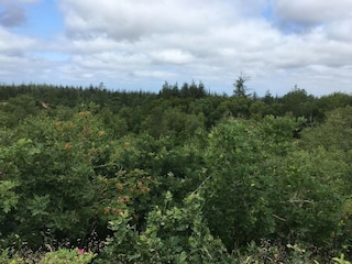 Casa per le vacanze Oksbøl  33