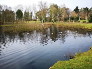 Ferienhaus Oksbøl  34