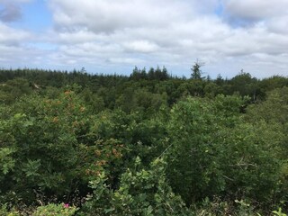 Holiday house Oksbøl  29