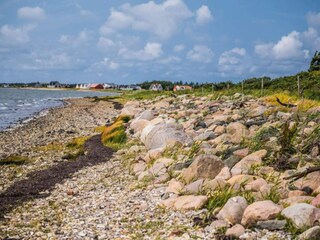 Casa per le vacanze Vestervig  44