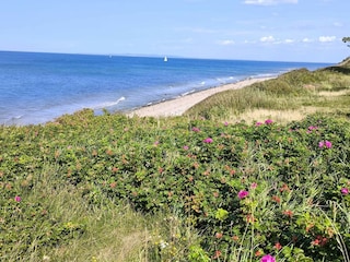Holiday house Gilleleje  23