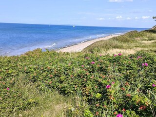Vakantiehuis Gilleleje  10