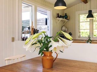 Ferienhaus Gilleleje  17