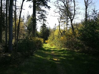 Ferienhaus Klitmøller  20