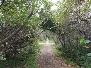 Ferienhaus Klitmøller  20