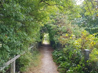 Maison de vacances Sønderho Sogn  37