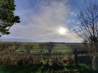 Casa per le vacanze Sønderho Sogn  26