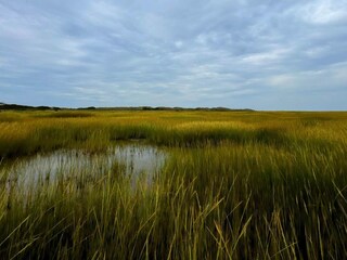 Casa de vacaciones Sønderho Sogn  26