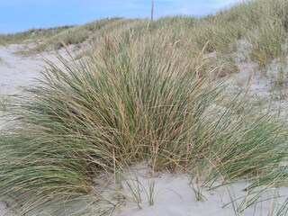 Casa de vacaciones Rødhus  8