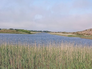 Apartamento Vejers Strand  34