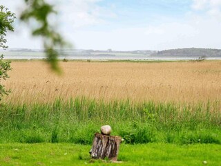 Vakantiehuis Thyholm  13