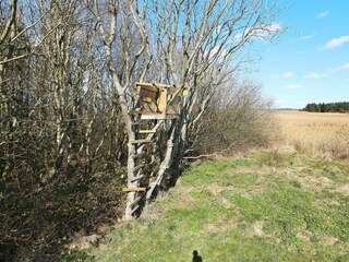 Casa per le vacanze Thyholm  36