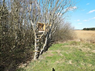 Ferienhaus Thyholm  42