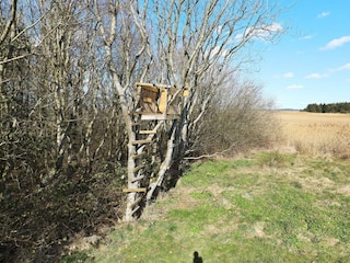 Holiday house Thyholm  46