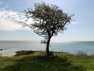 Casa per le vacanze Juelsminde  30