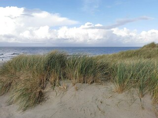 Casa per le vacanze Henne Strand  39