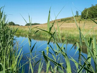 Casa per le vacanze Rask Mølle  8