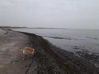 Vakantiehuis Kramnitse  27