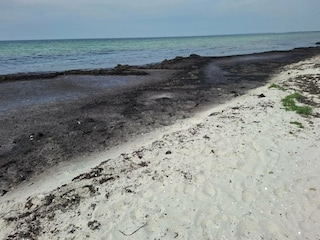 Holiday house Kramnitse  38