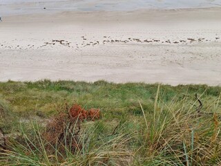 Ferienhaus Ørsted  31