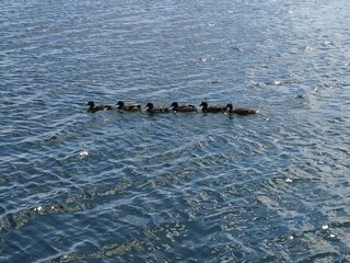 Holiday house Ørsted  23