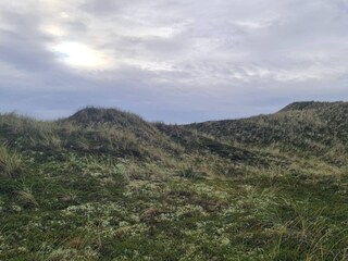 Maison de vacances Vester Husby  11