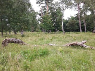Maison de vacances Vaeggerløse  39