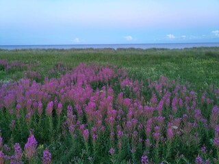 Casa de vacaciones Vaeggerløse  31