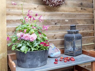 Ferienhaus Trend Außenaufnahme 13