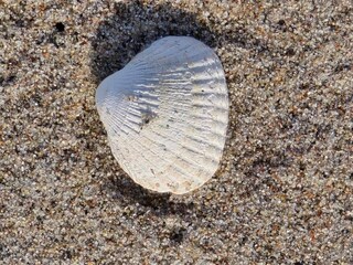 Maison de vacances Bjerge Strand  23