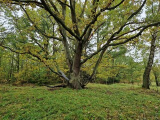 Maison de vacances Bjerge Strand  26