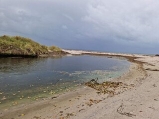 Maison de vacances Bjerge Strand  31