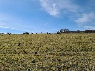 Maison de vacances Martofte  15