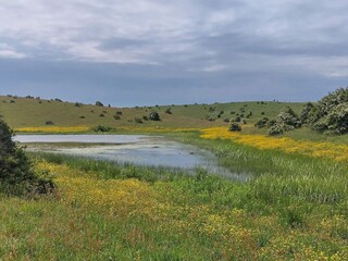 Vakantiehuis Martofte  30