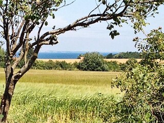 Maison de vacances Brenderup  14
