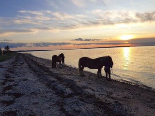 Casa per le vacanze Brenderup  11