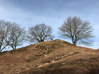 Casa per le vacanze Gjern  27
