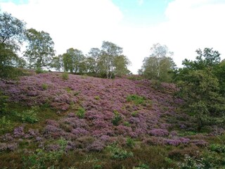 Maison de vacances Gjern  42