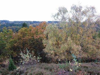 Casa per le vacanze Gjern  46
