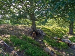 Maison de vacances Gjern  47