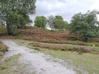 Vakantiehuis Gjern  15