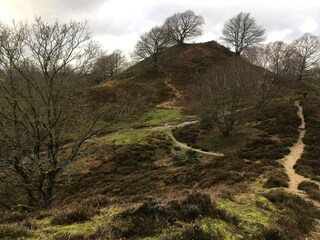 Maison de vacances Gjern  20