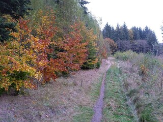 Vakantiehuis Gjern  21