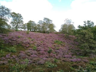 Ferienhaus Gjern  22