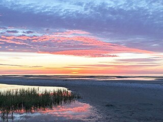Vakantiehuis Bork Havn  31