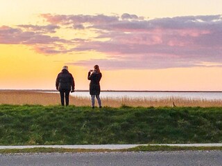 Vakantiehuis Bork Havn Buitenaudio-opname 3