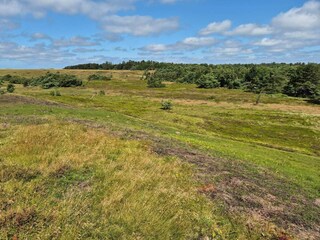 Ferienhaus Tisvildeleje  18