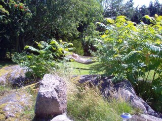 Maison de vacances Allinge  14