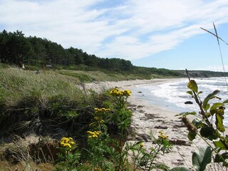 Maison de vacances Hasle  11